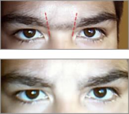 cejas