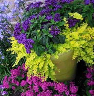Ideas de diseño del jardín maceta de jardín