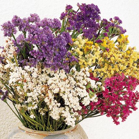 flores secas en un cesto