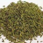 Como cultivar eneldo2