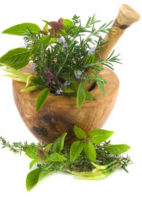 8 Hierbas medicinales que usted puede cultivar1