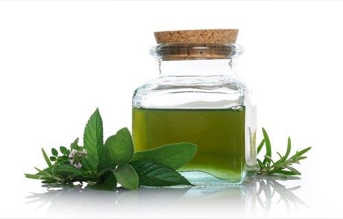 Como extraer aceite de menta de las hojas