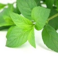 5 Remedios herbarios naturales que le beneficiaran en la vida diaria5
