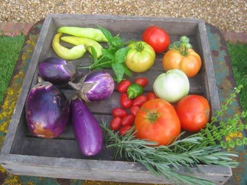 Frutas y verduras para jardines interiores1