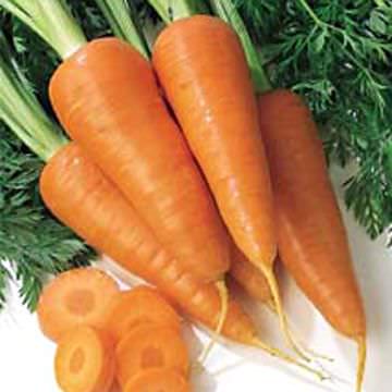 10 Beneficios de las Zanahorias para su Salud
