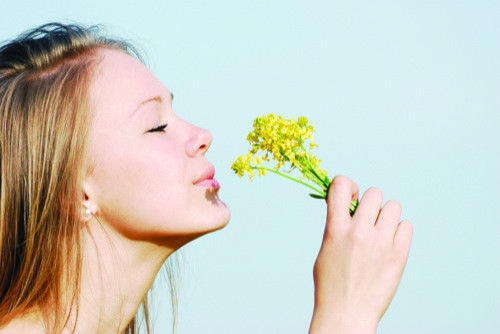 10 Alimentos que Combaten las Alergias de Primavera