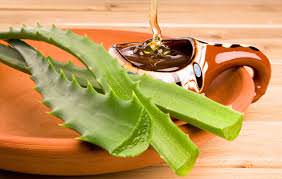 aloe and honey