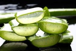 aloe