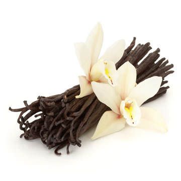 6 Usos Inusuales para el Extracto de Vanilla