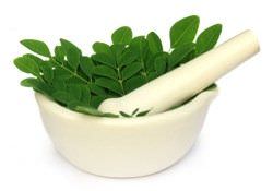  Beneficios de la Moringa para la Salud la Piel el Cabello2