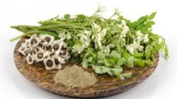  Beneficios de la Moringa para la Salud la Piel el Cabello4