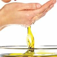  aceite oliva
