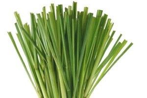 lemongrass4