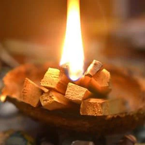 1Como Usar Palo Santo para Mejorar el Sistema Inmune y Aliviar la Inflamacion2