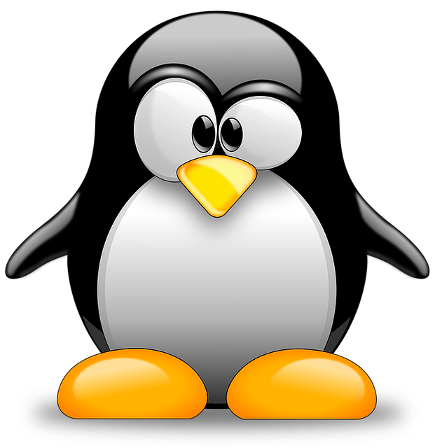 Ejecute Linux en Office fácilmente.