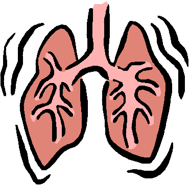 pulmones