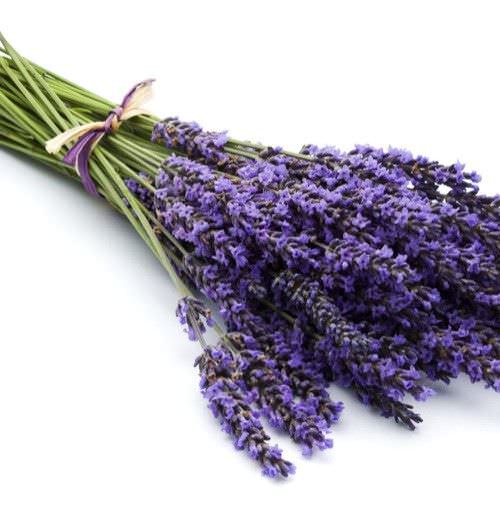 Refrescante de Lavanda para Telas