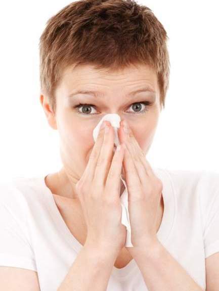 Antihistaminicos naturales para sus alergias de temporada