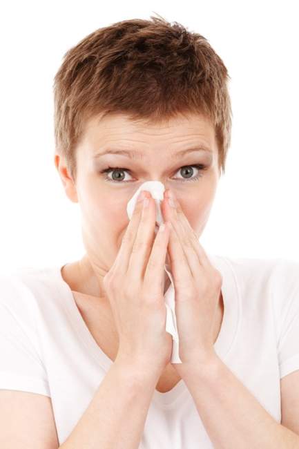 Antihistaminicos naturales para sus alergias de temporada