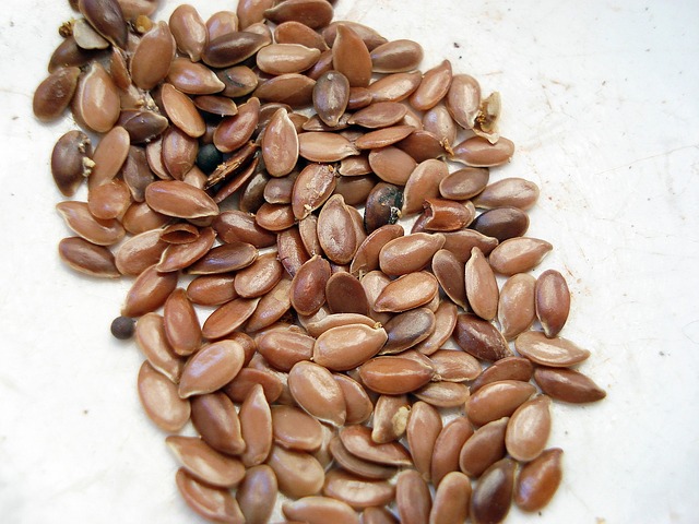 semillas de lino