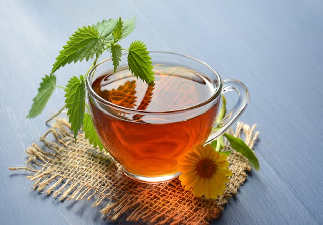 té de diente de león