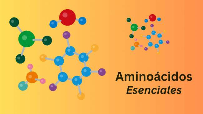 aminoácidos